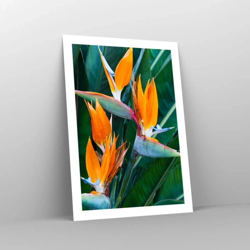 Poster - Is It a Flower or a Bird? - 50x70 cm