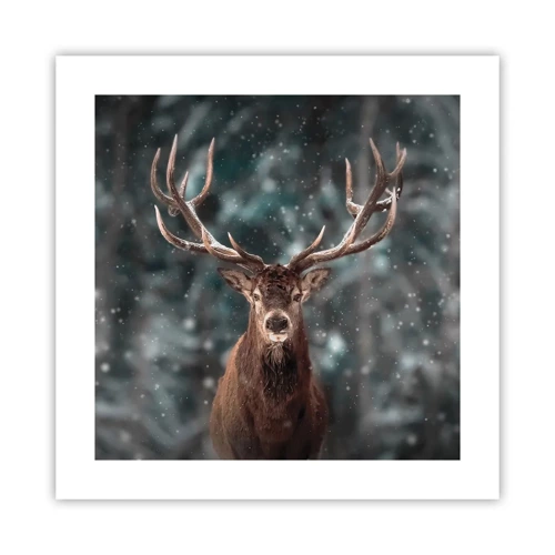Poster - King of Forest Crowned - 40x40 cm