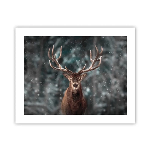 Poster - King of Forest Crowned - 50x40 cm