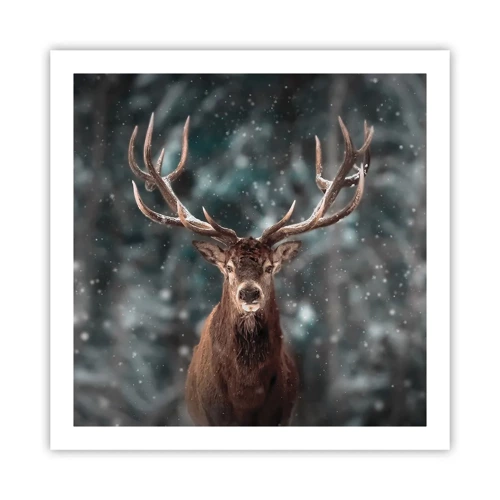 Poster - King of Forest Crowned - 60x60 cm