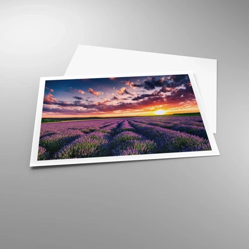 Poster - Lavender World - 100x70 cm