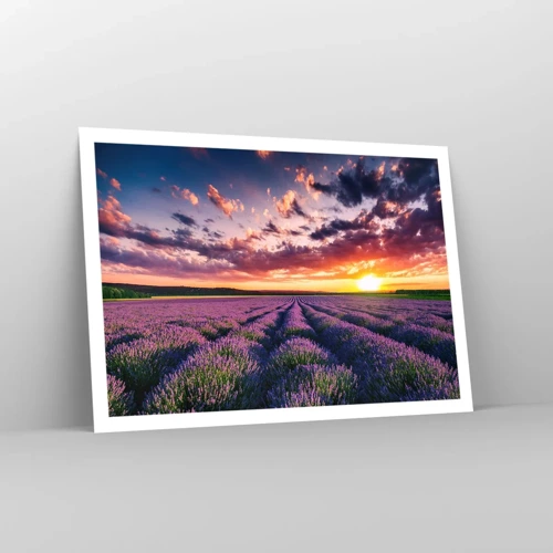 Poster - Lavender World - 100x70 cm