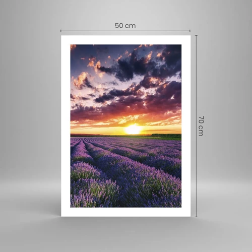 Poster - Lavender World - 50x70 cm