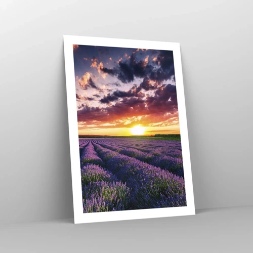 Poster - Lavender World - 50x70 cm