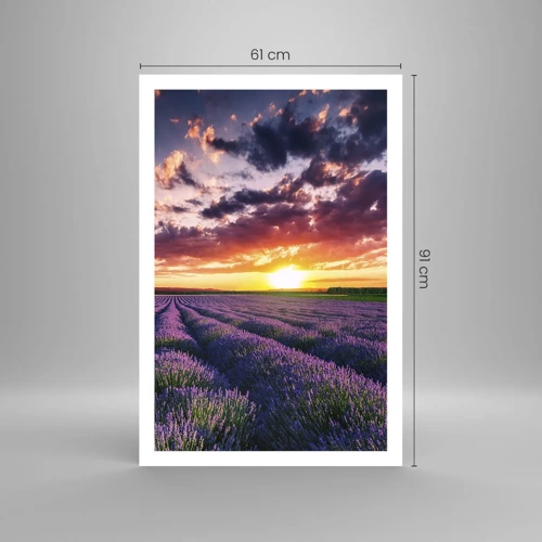 Poster - Lavender World - 61x91 cm