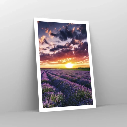 Poster - Lavender World - 61x91 cm