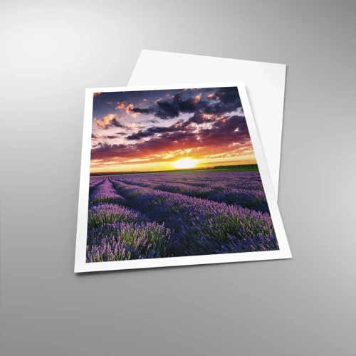 Poster - Lavender World - 70x100 cm