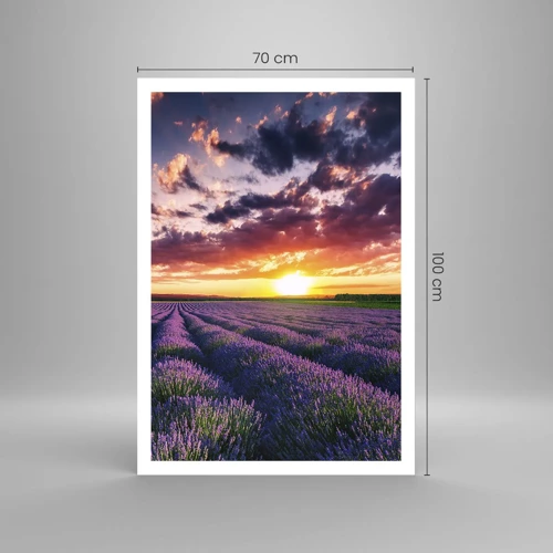 Poster - Lavender World - 70x100 cm