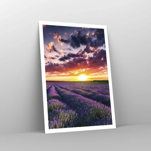 Poster - Lavender World - 70x100 cm