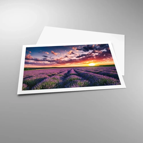 Poster - Lavender World - 91x61 cm