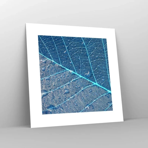 Poster - Life in the Blue - 30x30 cm