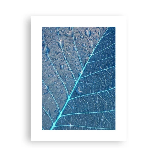 Poster - Life in the Blue - 30x40 cm