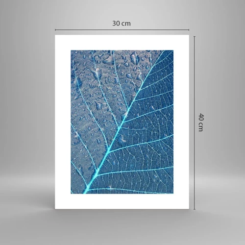 Poster - Life in the Blue - 30x40 cm