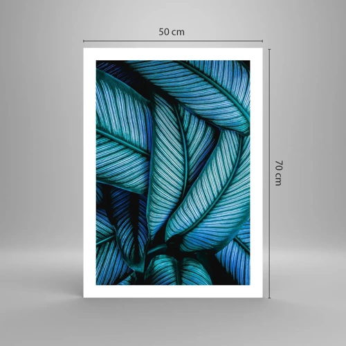 Poster - Lifelines - 50x70 cm