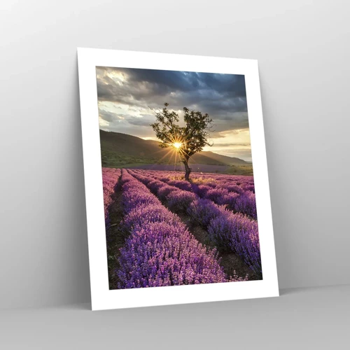 Poster - Lilac Coloured Aroma - 40x50 cm