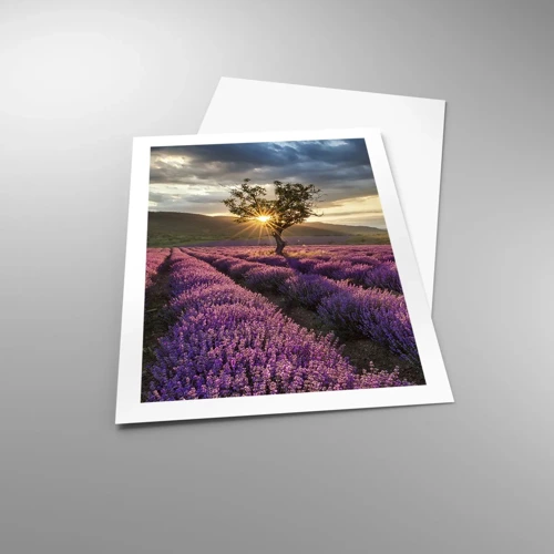 Poster - Lilac Coloured Aroma - 50x70 cm