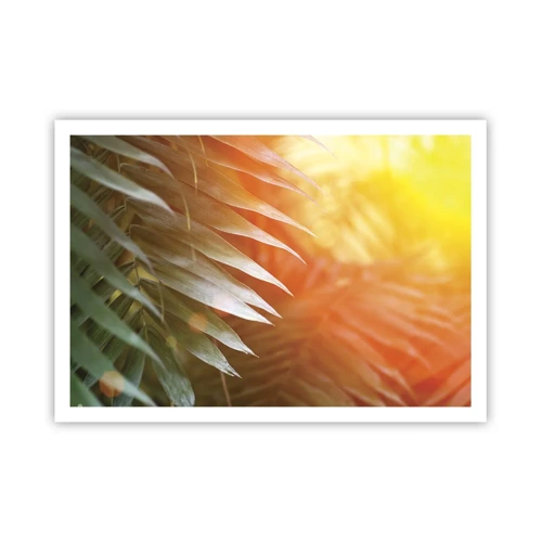 Poster - Morning in the Jungle - 100x70 cm