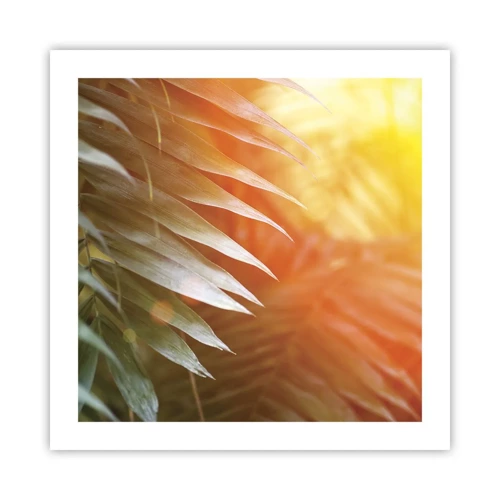 Poster - Morning in the Jungle - 50x50 cm
