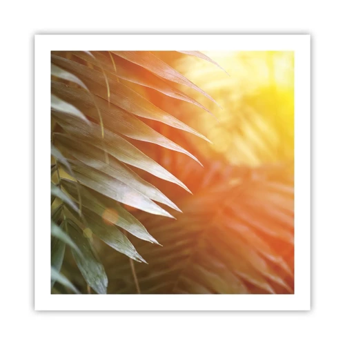 Poster - Morning in the Jungle - 60x60 cm