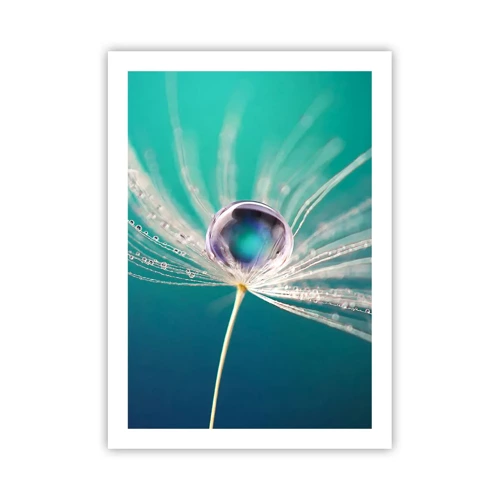 Poster - Mystical Moment - 50x70 cm