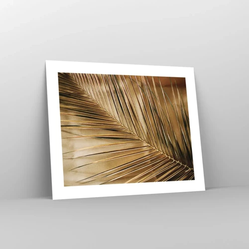 Poster - Natural Colonnade - 50x40 cm