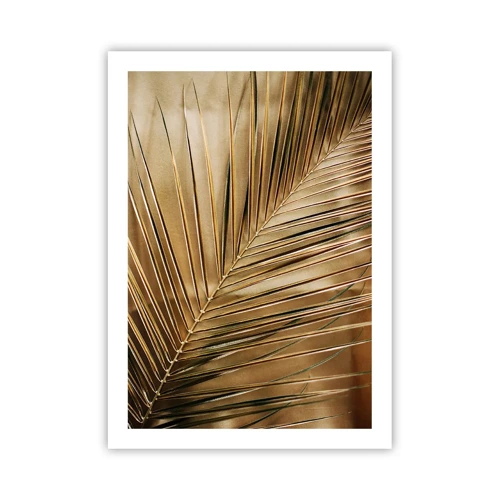 Poster - Natural Colonnade - 50x70 cm