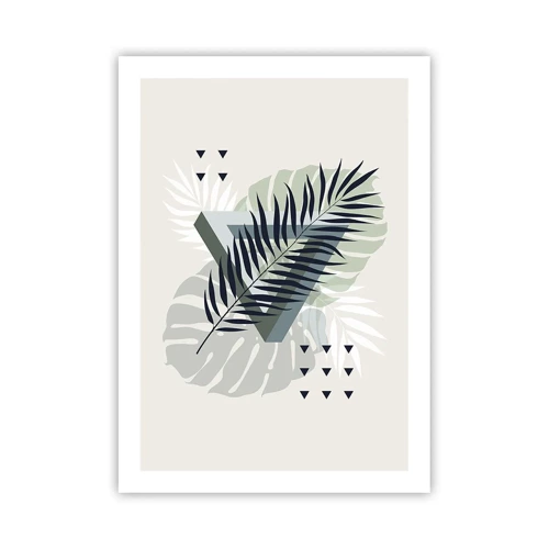 Poster - Nature and Geometry - Two Orders? - 50x70 cm