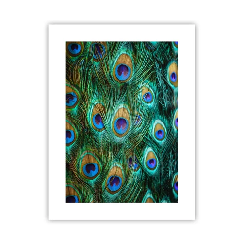 Poster - Peacock Eyes - 30x40 cm