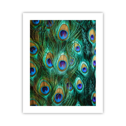 Poster - Peacock Eyes - 40x50 cm