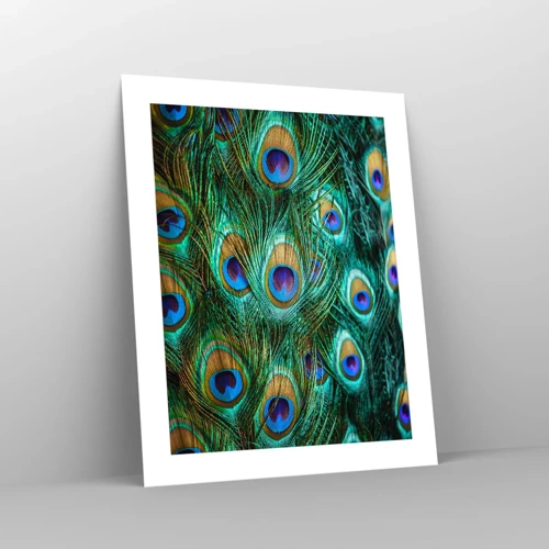 Poster - Peacock Eyes - 40x50 cm