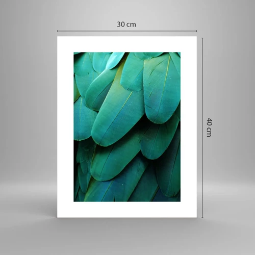 Poster - Precision of Parrot Nature - 30x40 cm