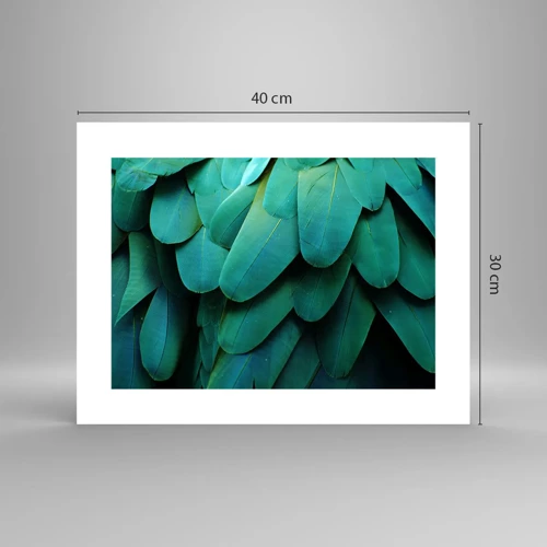 Poster - Precision of Parrot Nature - 40x30 cm