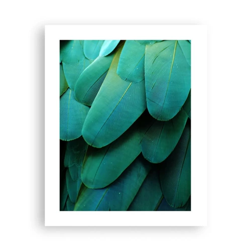Poster - Precision of Parrot Nature - 40x50 cm