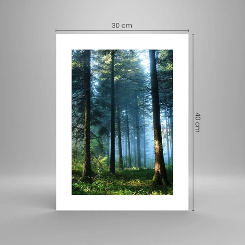 Poster - Radiant at Dawn - 30x40 cm