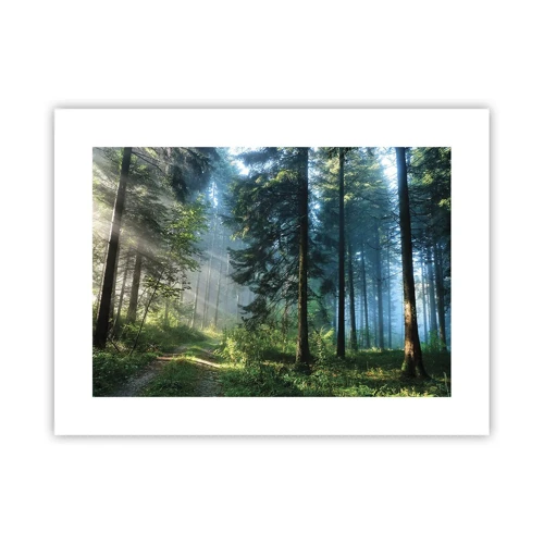 Poster - Radiant at Dawn - 40x30 cm