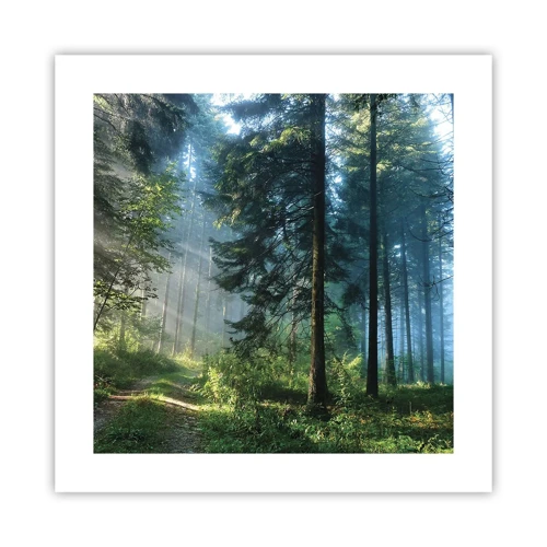 Poster - Radiant at Dawn - 40x40 cm