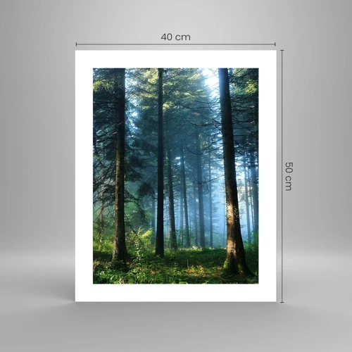 Poster - Radiant at Dawn - 40x50 cm