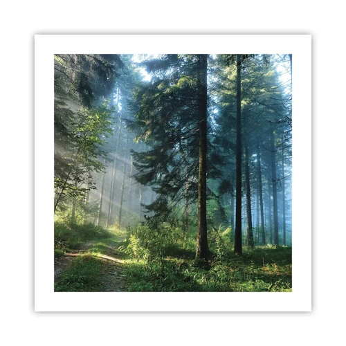 Poster - Radiant at Dawn - 50x50 cm