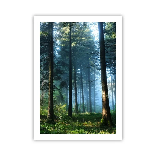 Poster - Radiant at Dawn - 50x70 cm