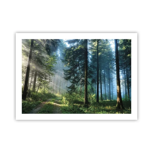 Poster - Radiant at Dawn - 70x50 cm