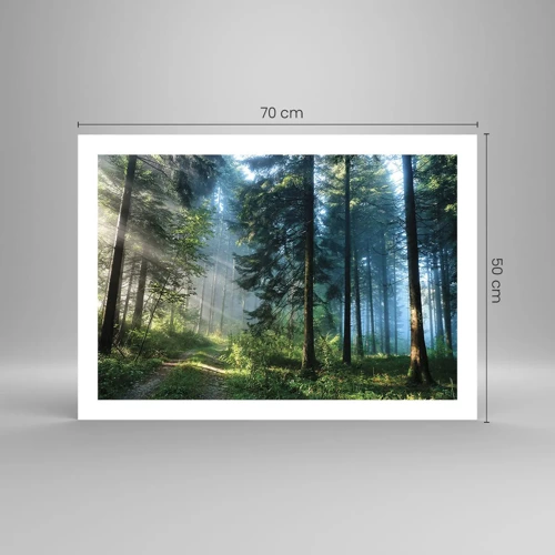 Poster - Radiant at Dawn - 70x50 cm