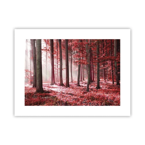 Poster - Red Equally Beautiful - 40x30 cm
