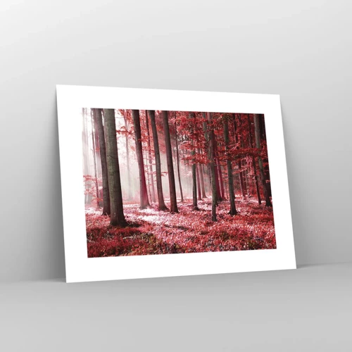 Poster - Red Equally Beautiful - 40x30 cm