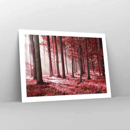 Poster - Red Equally Beautiful - 70x50 cm