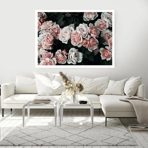 Poster - Rose Ensemble - 100x70 cm