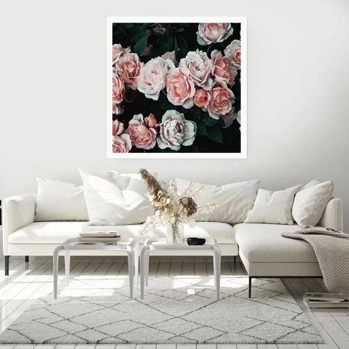 Poster - Rose Ensemble - 30x30 cm