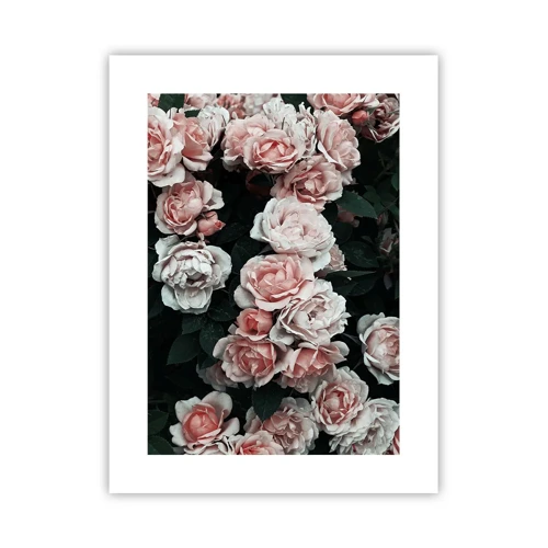 Poster - Rose Ensemble - 30x40 cm