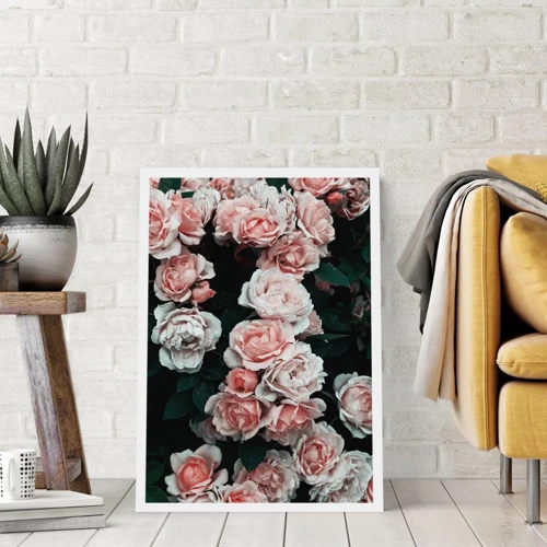 Poster - Rose Ensemble - 30x40 cm