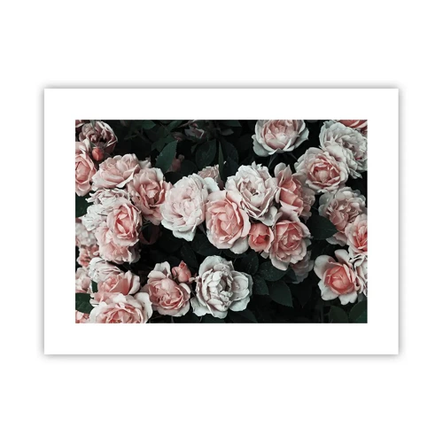 Poster - Rose Ensemble - 40x30 cm