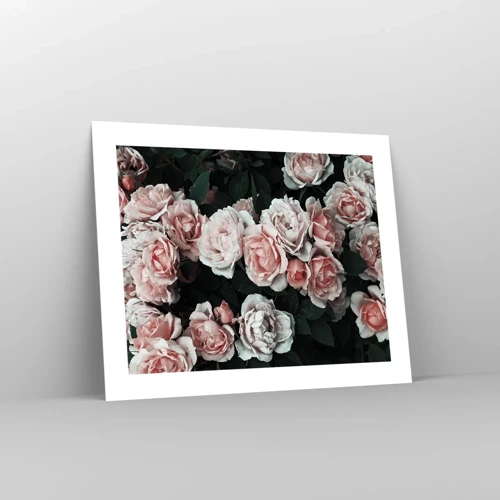 Poster - Rose Ensemble - 50x40 cm